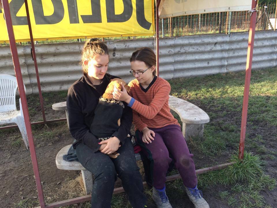 15134583_710531239100432_4921323392853515035_n