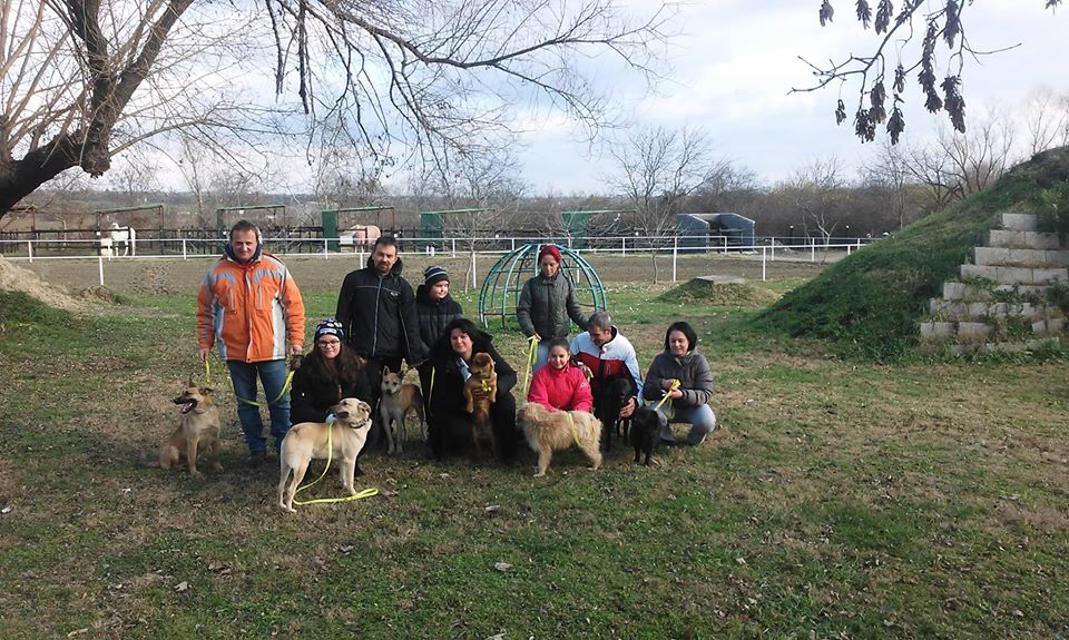 15192559_714251025395120_2175534923038675608_n