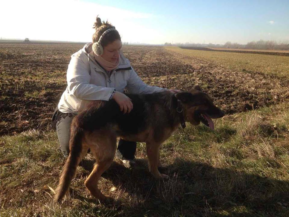 15589597_725894560897433_2263453506020154775_n