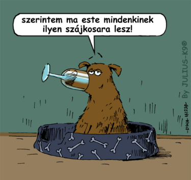 15780840_1108422125923529_2822707683822762996_n