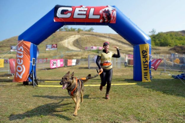 14470496_683495905137299_3136634632569265533_n