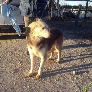 CooperII02 CooperII02