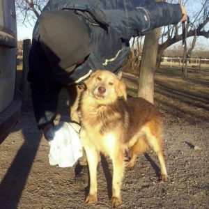 CooperII03 CooperII03