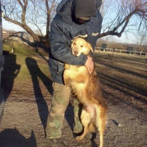 CooperII05 CooperII05