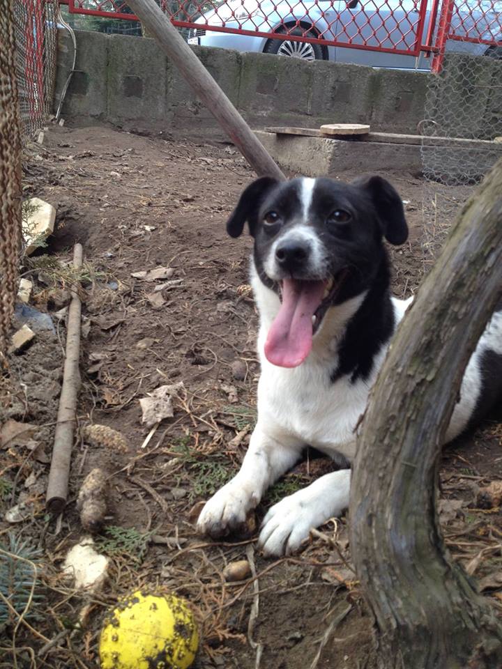 16832151_764052960414926_5811414757590172055_n