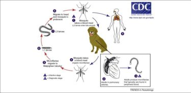 917427079557969de7f8ce