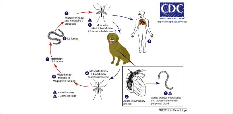 917427079557969de7f8ce