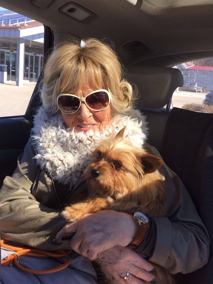 17522923_783109978509224_5562680817261452701_n