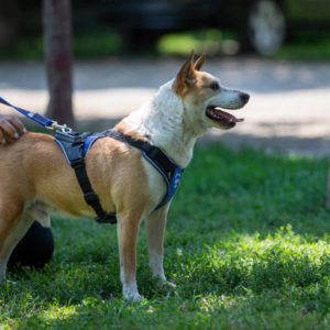 A62U3078_2 A62U3078_2