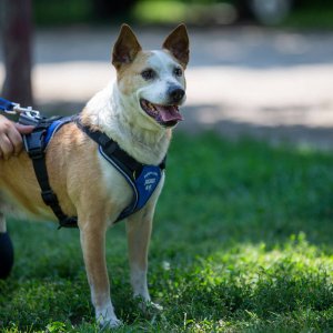 A62U3079_2 A62U3079_2