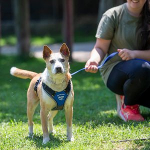 A62U3085_2 A62U3085_2