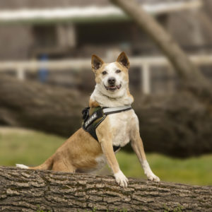 DSC03977_k DSC03977_k