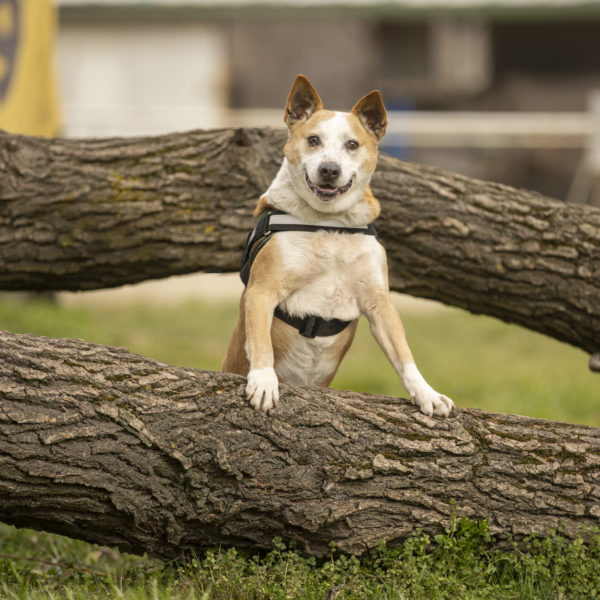 DSC03984_k DSC03984_k