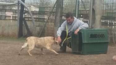 17522241_1409065989146046_592759700_o