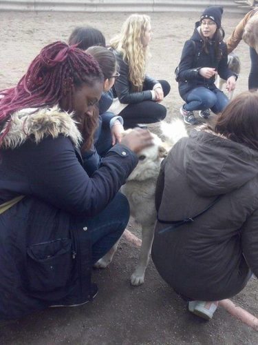 17884198_791081427712079_7187078882455210711_n