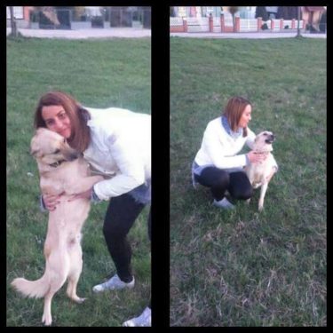 18199155_805852442901644_1064508600227813436_n