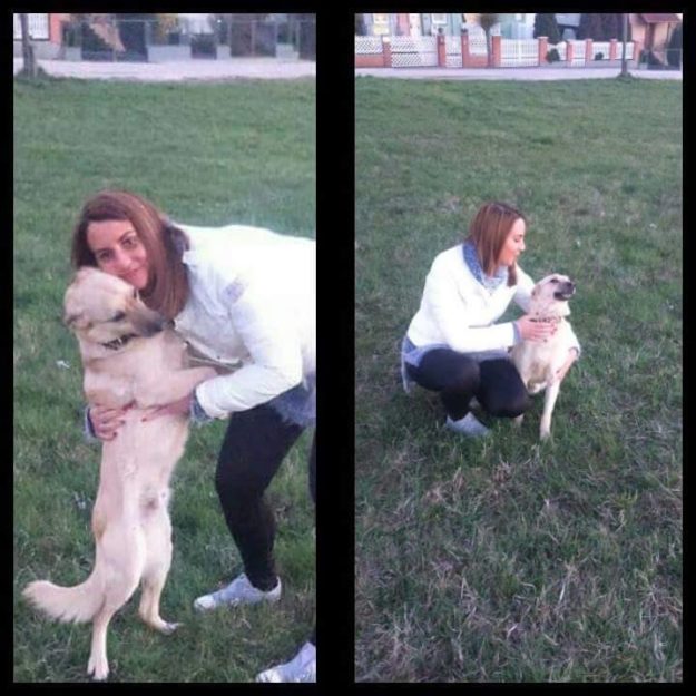 18199155_805852442901644_1064508600227813436_n