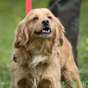 Cappuccino03 Cappuccino03