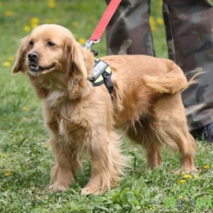 Cappuccino05 Cappuccino05