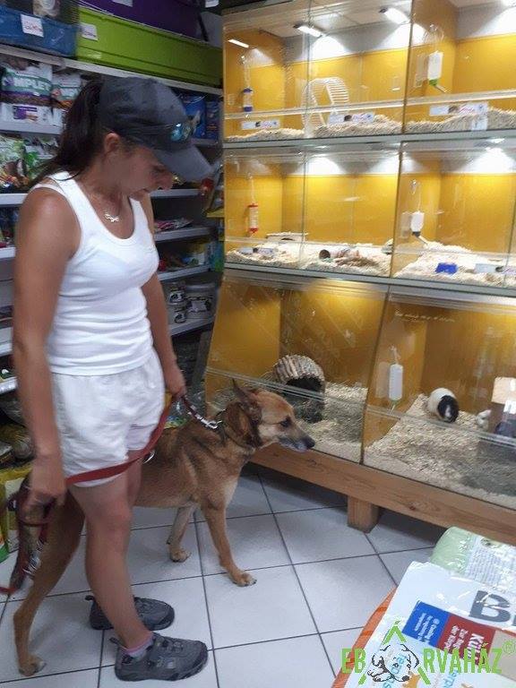 19059364_828802693939952_5856294132352460610_n