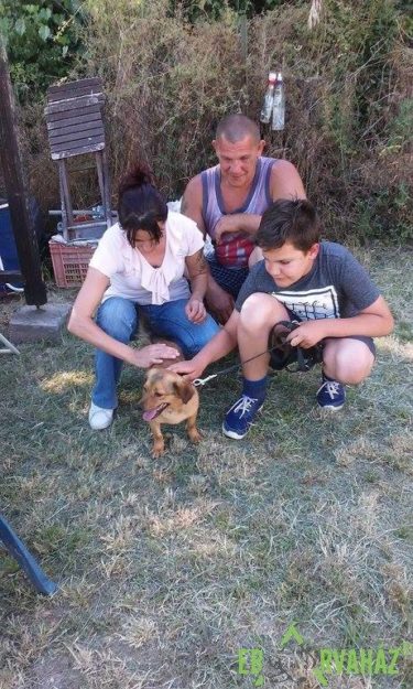 19145866_829388697214685_4829319931541620283_n