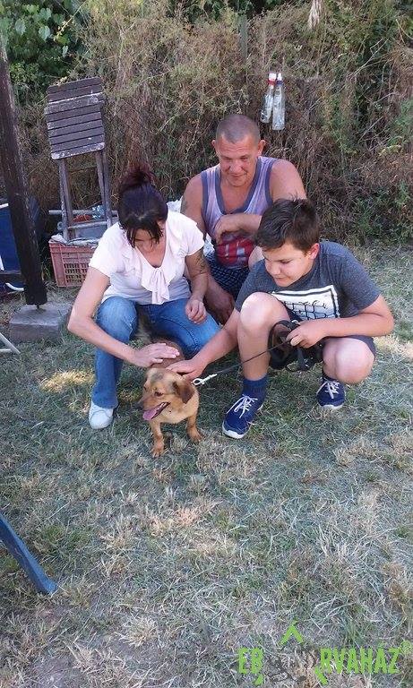 19145866_829388697214685_4829319931541620283_n