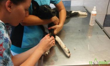 19430112_836593089827579_5764221320701183838_n