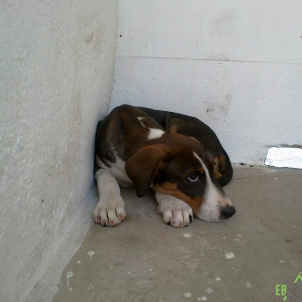 20170606130 20170606130