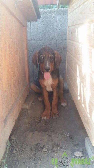 19510311_837233643096857_573115999728006674_n