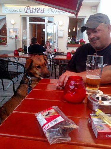 20155723_849569795196575_6841146875064224956_n