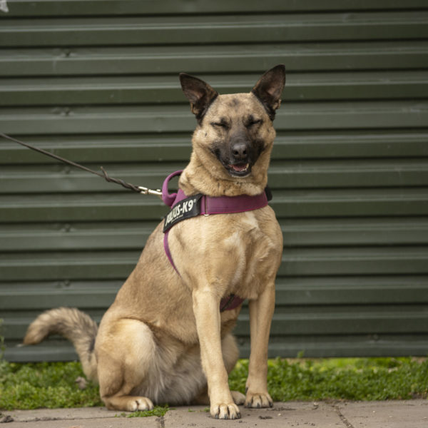 DSC04304_k DSC04304_k