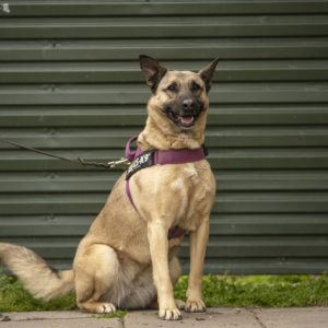 DSC04305_k DSC04305_k