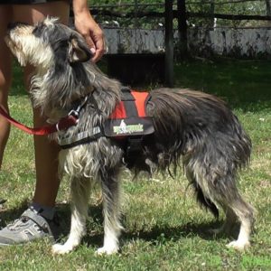 Izabella03 Izabella03