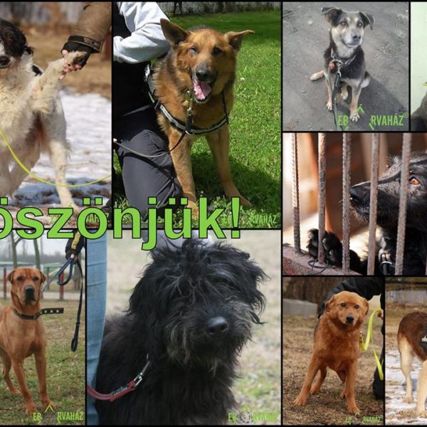 20431511_858049654348589_3830395061048378222_n