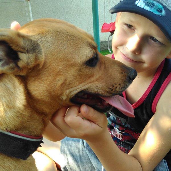 20637942_862689910551230_7508766314068797932_n 20637942_862689910551230_7508766314068797932_n