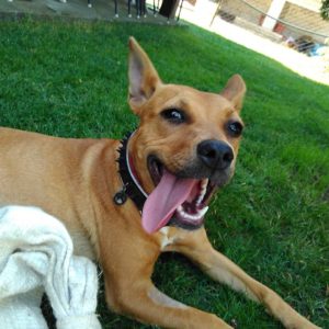 20637982_862689907217897_2194596662599788526_n 20637982_862689907217897_2194596662599788526_n