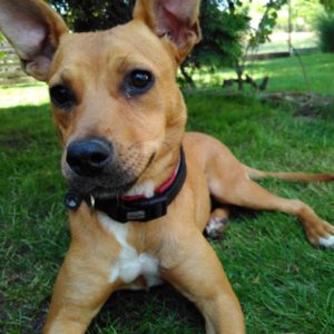 20728233_862689900551231_8523763194686054879_n 20728233_862689900551231_8523763194686054879_n