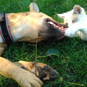 20728295_862689973884557_4809545087266516773_n 20728295_862689973884557_4809545087266516773_n