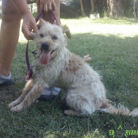 Rozsdás201 Rozsdás201