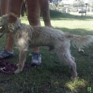 Rozsdás202 Rozsdás202