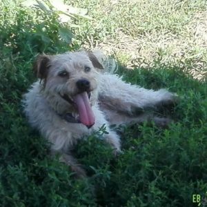 Rozsdás203 Rozsdás203