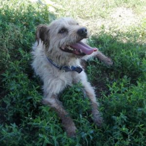 Rozsdás204 Rozsdás204