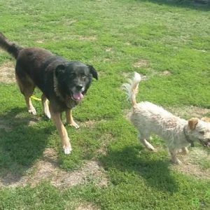 Rozsdás205 Rozsdás205