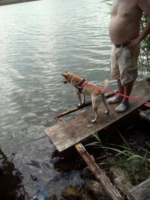 20597367_875649069255314_5818982245392009385_n