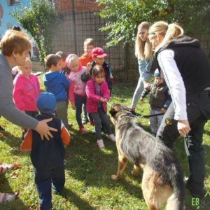 21463324_883088548511366_5213729703016427891_n 21463324_883088548511366_5213729703016427891_n