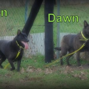 21687515_884596141693940_5301878478273602590_n