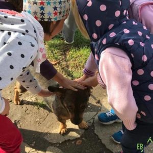 21761418_883087781844776_2127383992713984528_n 21761418_883087781844776_2127383992713984528_n