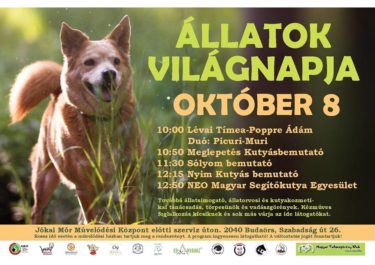 21765138_886979468122274_1025927118083713683_n