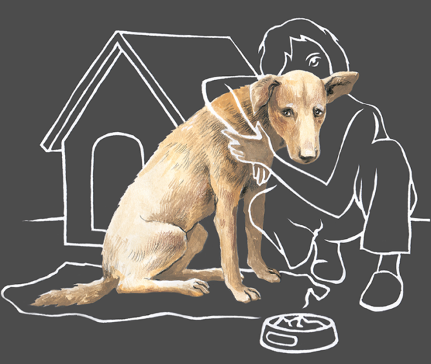 22549988_898797496940471_8052188712060749919_n