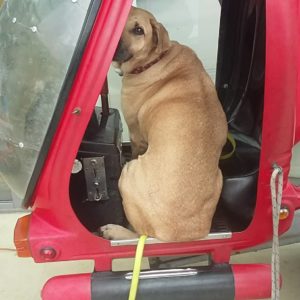 23112841_1620158158036827_113720623_o